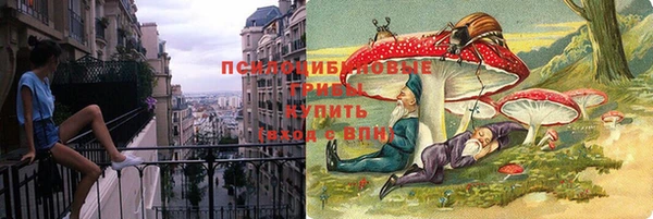 эйфоретик Алексин