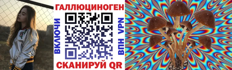 магазин продажи   Муравленко  Псилоцибиновые грибы мицелий 