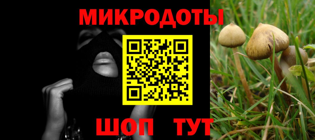 Псилоцибиновые грибы мицелий  Вход с VPN  Псилоцибиновые грибы Psilocybe  Муравленко 